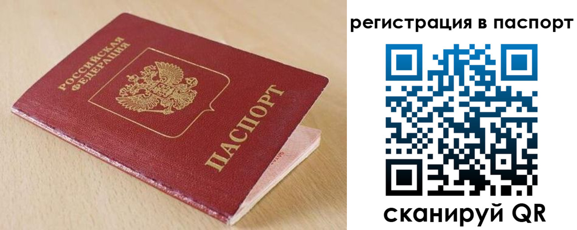 прописка поиск в Павлово