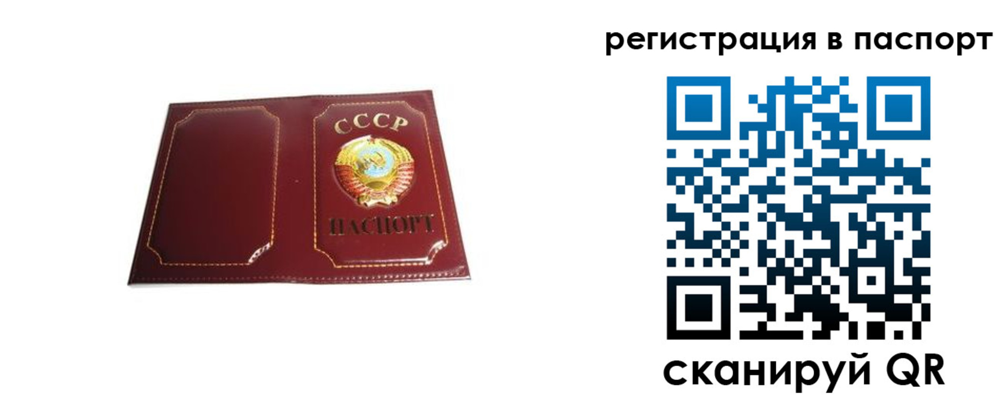 прописка 2025 в Павлово